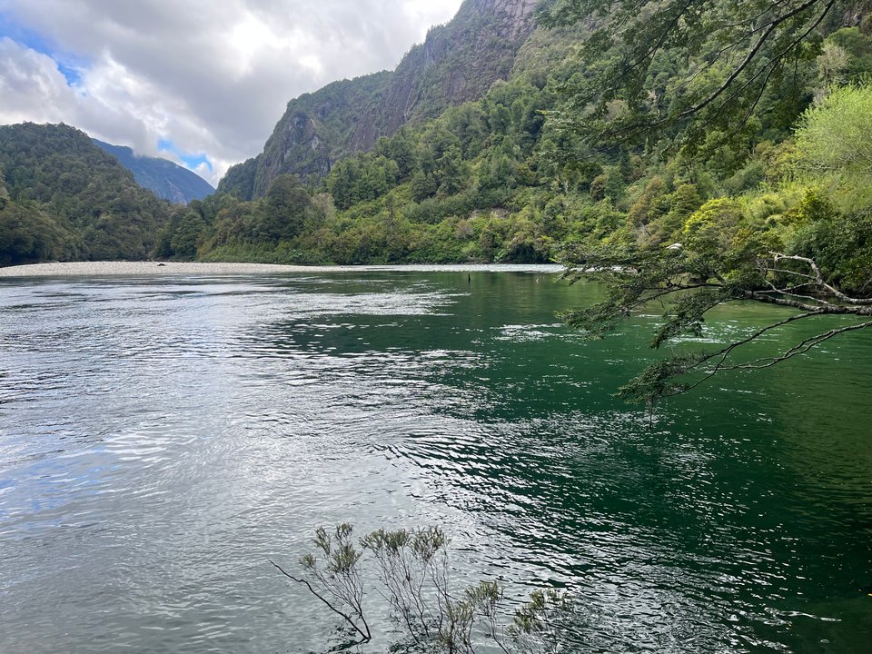 El arenal del cisne en Kampium