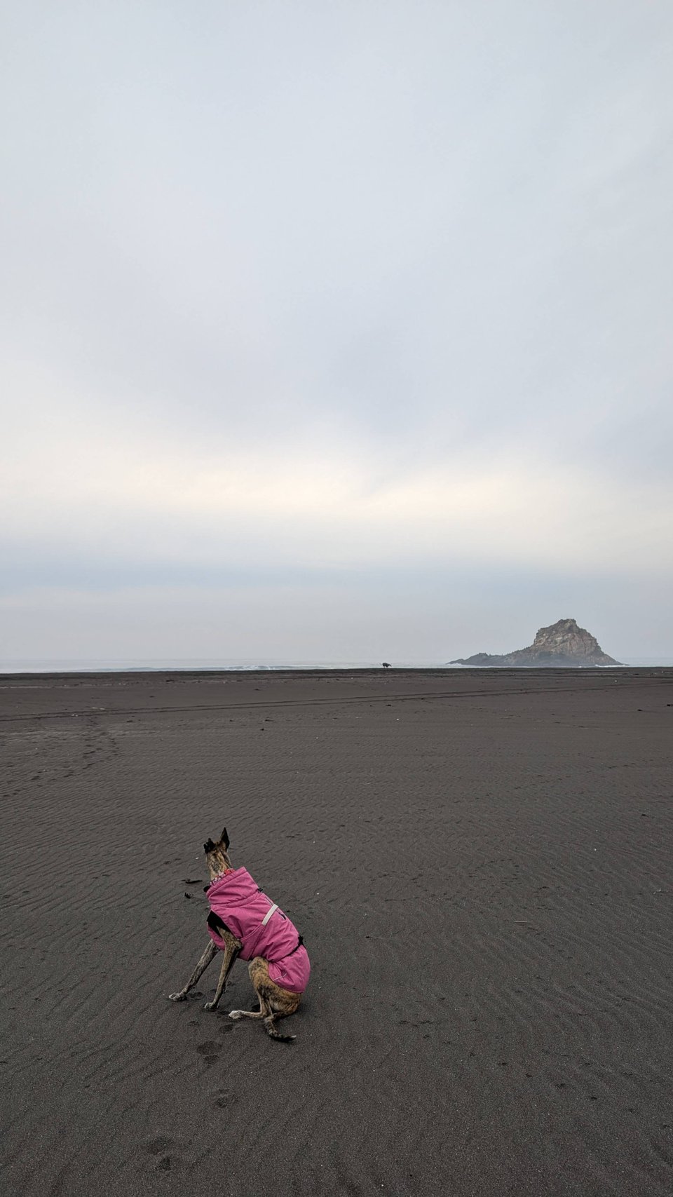 Playa los Lobos en Kampium